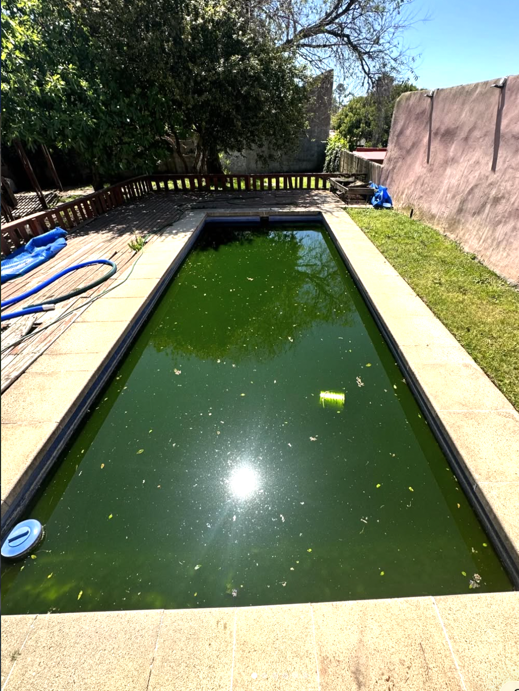 Piscina después del tratamiento — agua cristalina